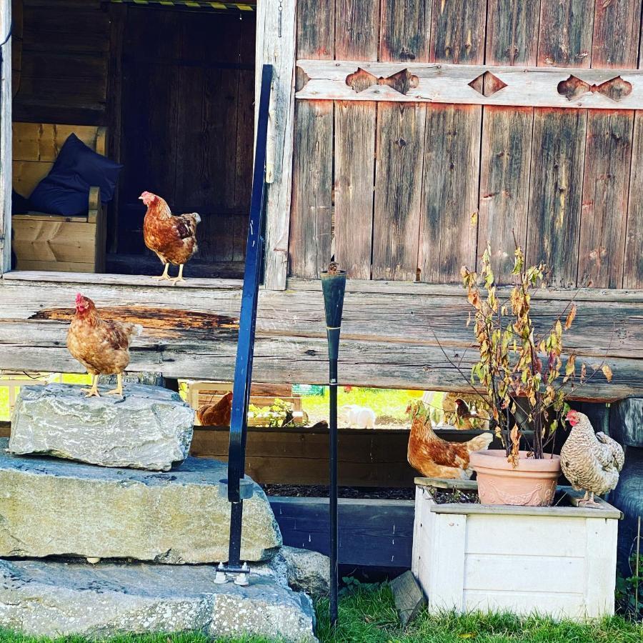 Hesla Farm Apartman Gol Kültér fotó