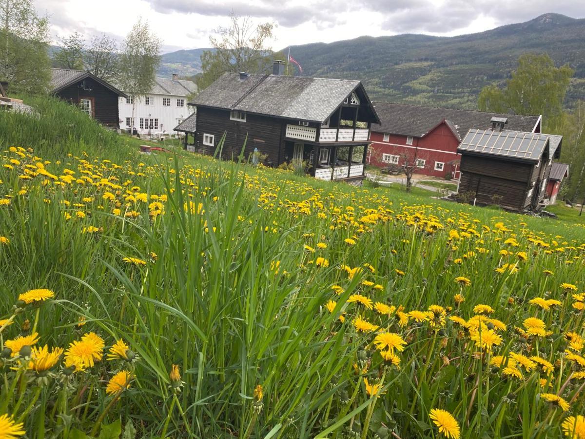 Hesla Farm Apartman Gol Kültér fotó